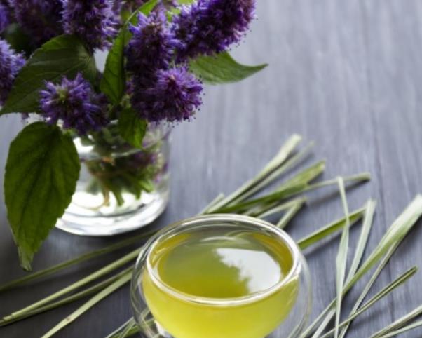 What Essential Oils Help With Weight Loss? Science-Backed Tips for Aromatherapy Weight Loss